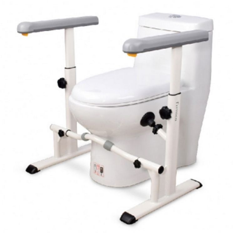 Accoudoirs de toilettes Smartassist