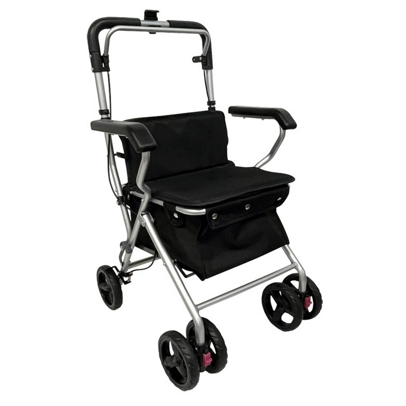Chariot de course Neo Baladeo